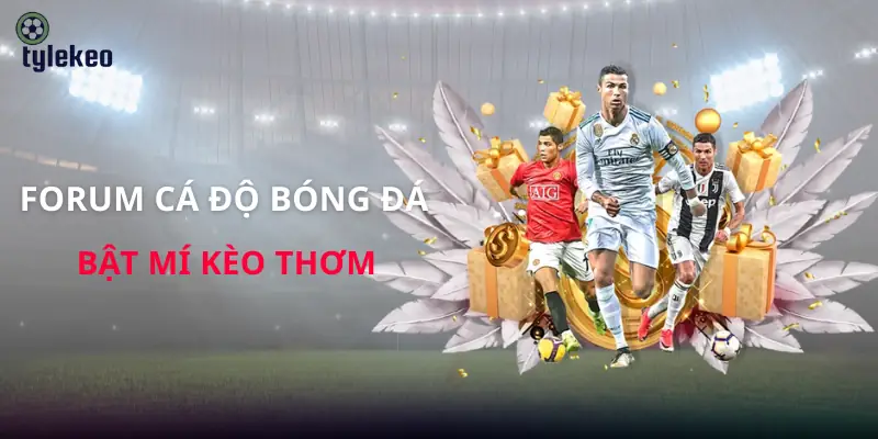 forum-ca-do-bong-da